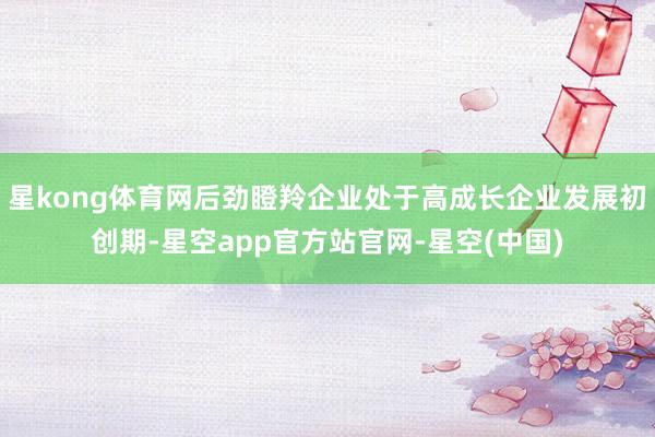 星kong体育网后劲瞪羚企业处于高成长企业发展初创期-星空app官方站官网-星空(中国)
