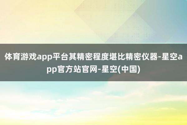 体育游戏app平台其精密程度堪比精密仪器-星空app官方站官网-星空(中国)