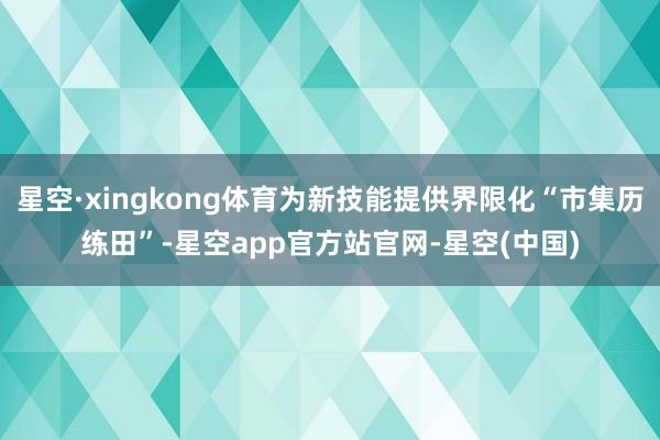 星空·xingkong体育为新技能提供界限化“市集历练田”-星空app官方站官网-星空(中国)