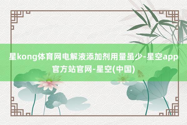 星kong体育网　　电解液添加剂用量虽少-星空app官方站官网-星空(中国)
