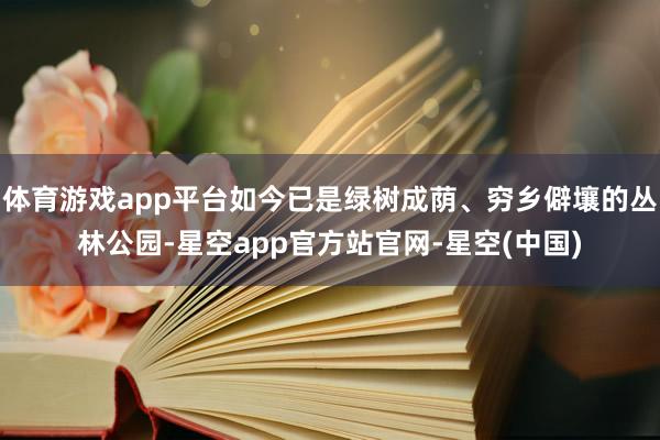 体育游戏app平台如今已是绿树成荫、穷乡僻壤的丛林公园-星空app官方站官网-星空(中国)