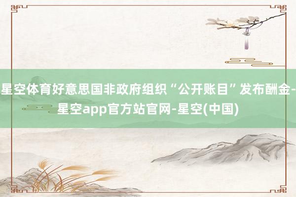 星空体育好意思国非政府组织“公开账目”发布酬金-星空app官方站官网-星空(中国)